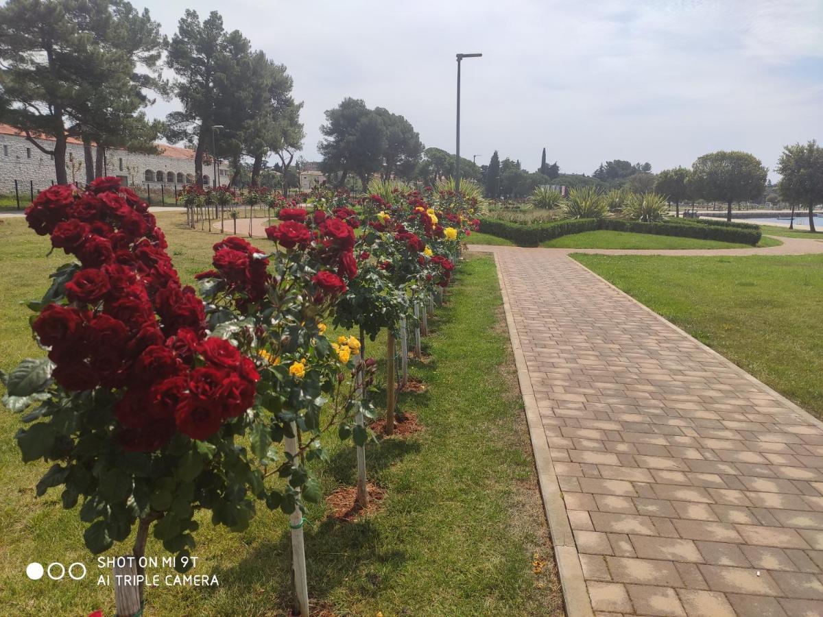 Dolce Vita City Center أوماغ المظهر الخارجي الصورة